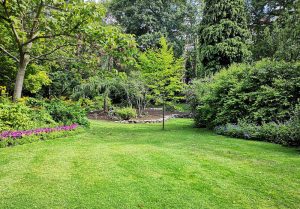 Optimiser l'expérience du jardin à Issenhausen